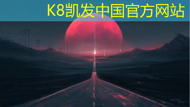 K8凯发中国官方网站：南京网球网价格查询网